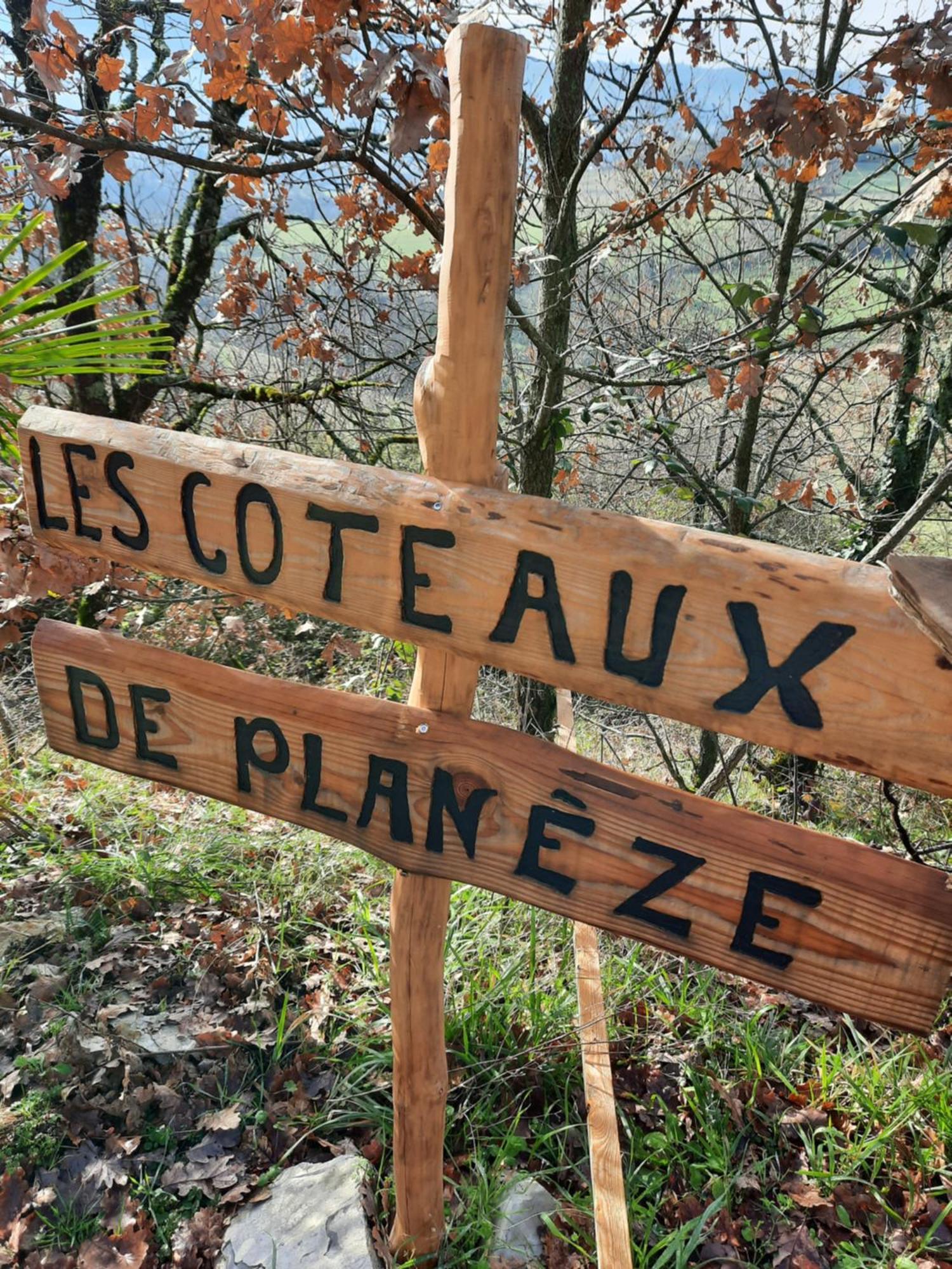 Les Coteaux De Planeze, Maison Et Jardin Dans Le Lot! Chambres Chez L'Habitant! Belmont-Bretenoux Dış mekan fotoğraf